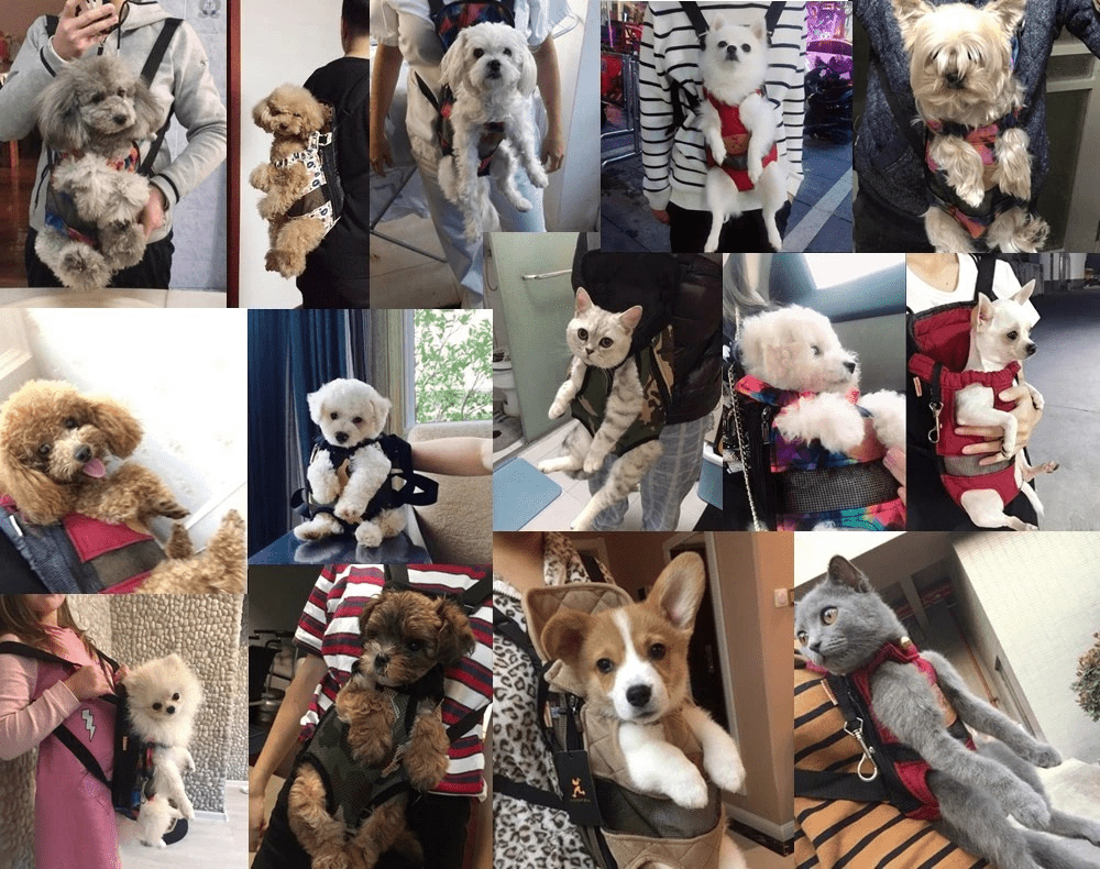 BowLift | Breathable pet travel bag for stylish & safe travelling