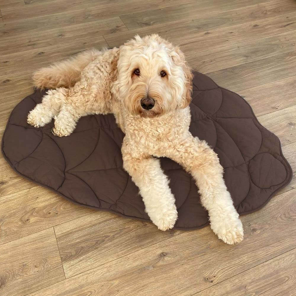 BowLift | Dog Blanket Mat for Large Pets