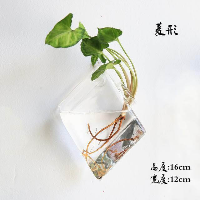 BowLift | Handmade New Hexagonal Wall Clear Terrarium Vase