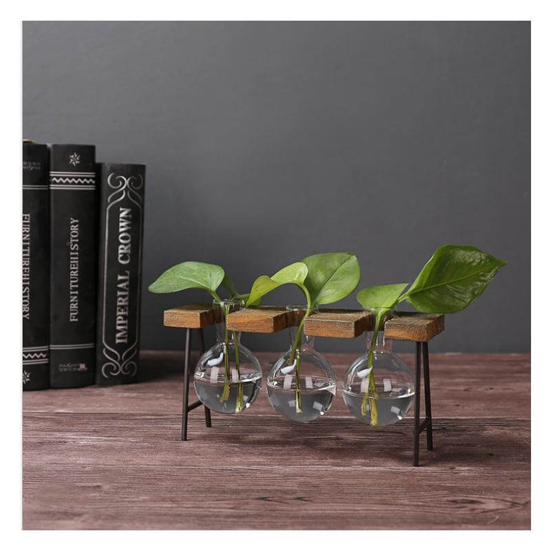 BowLift | Creative Home Decoration Hydroponic With Iron Feet Plant Vase