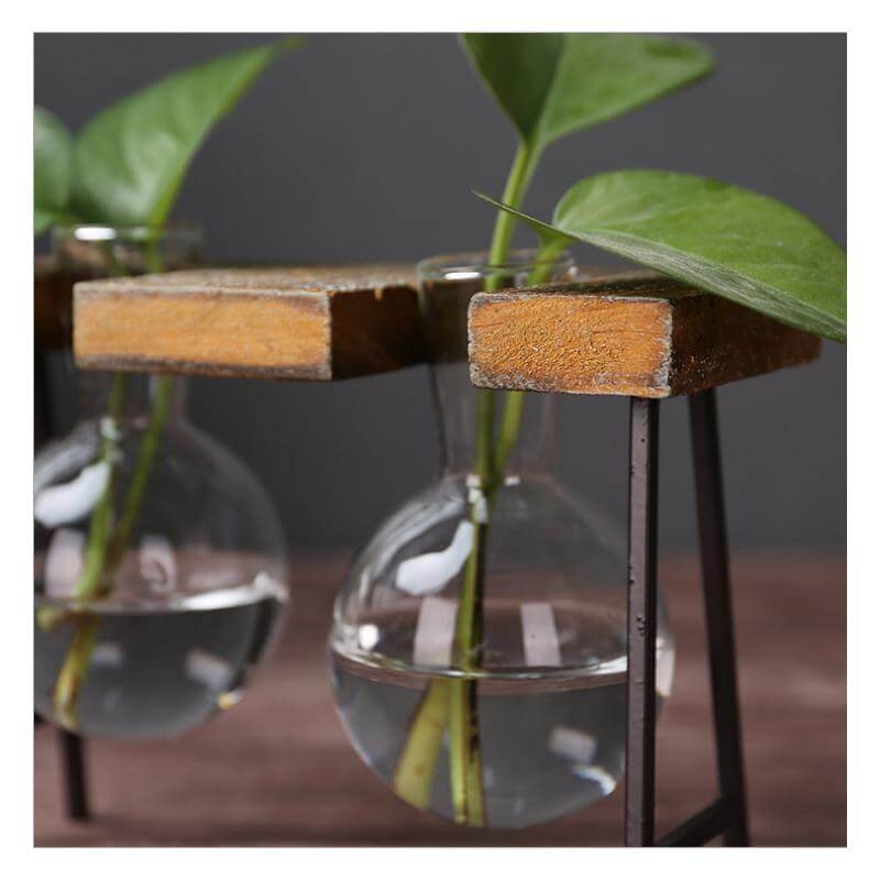 BowLift | Creative Home Decoration Hydroponic With Iron Feet Plant Vase