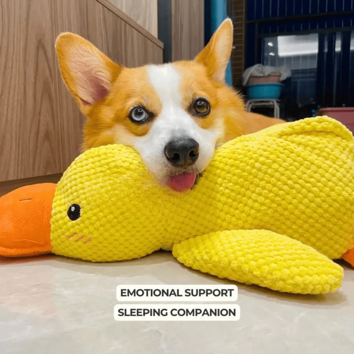 BowLift | PawVerve Plush Duck Toy for Dogs | Soft squeaky comfort toy for playful and relaxed pets