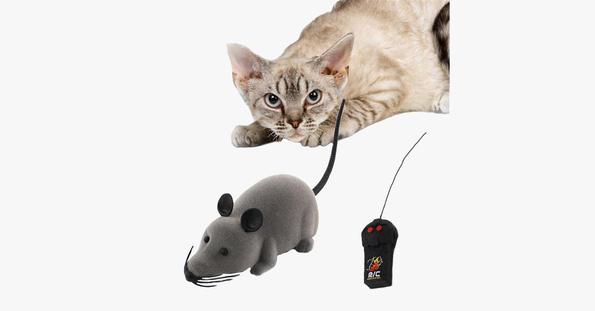 BowLift | Electronic RC Rat Mouse Toy for Pet Cats