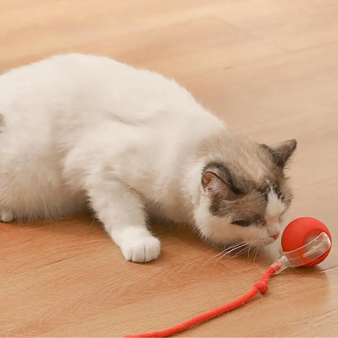 BowLift | Interactive Rolling Ball Toy with Tail for Cats