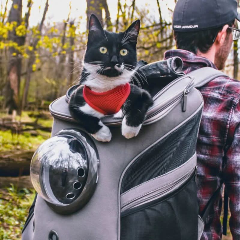 BowLift | Foldable Cat Travel Bag with Panoramic Window & Comfort Design