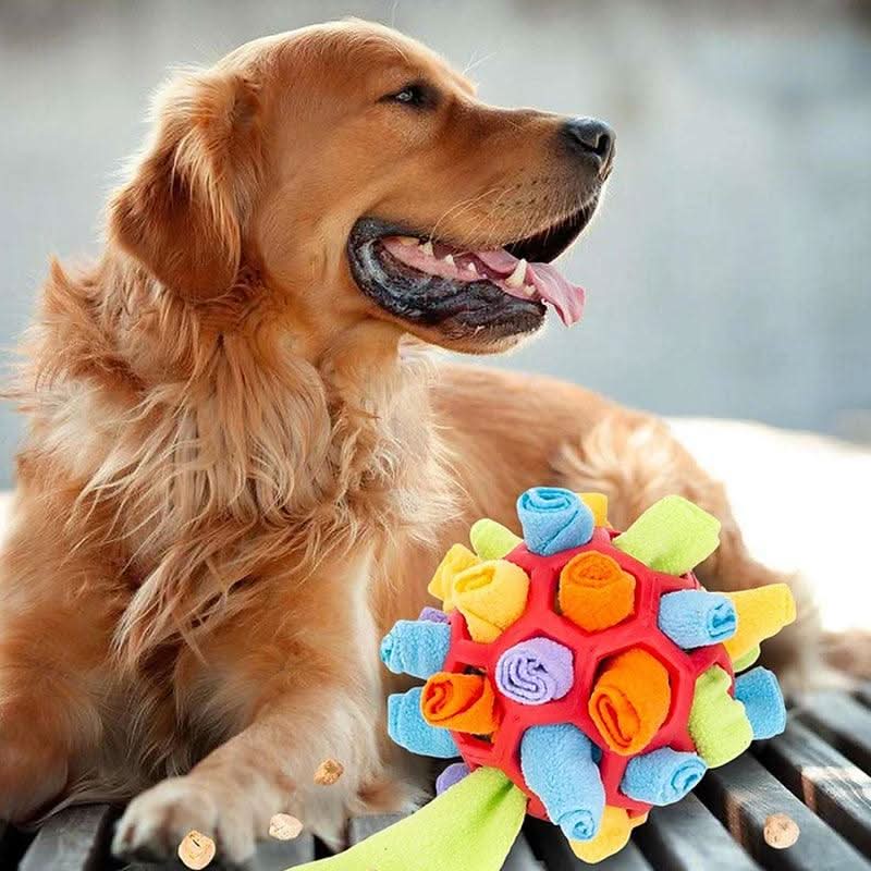 BowLift | Interactive Snuffle Toy for Dogs & Cats for Mental Stimulation