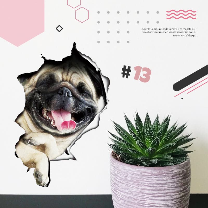 BowLift | 3D stickers with cats and dogs that can be removed