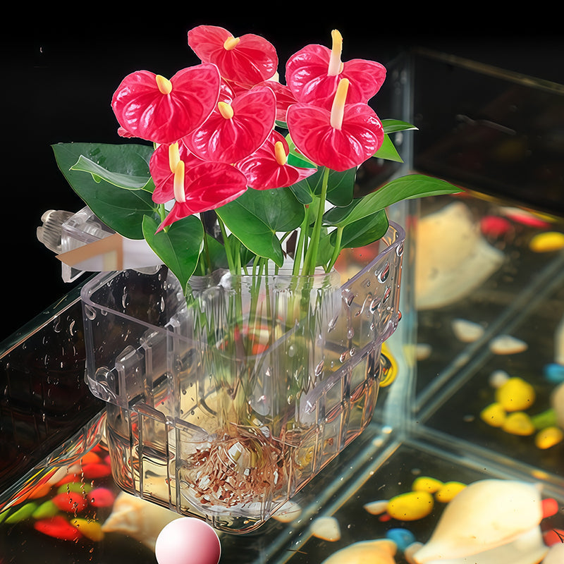 BowLift | Hanging aquarium plant holder