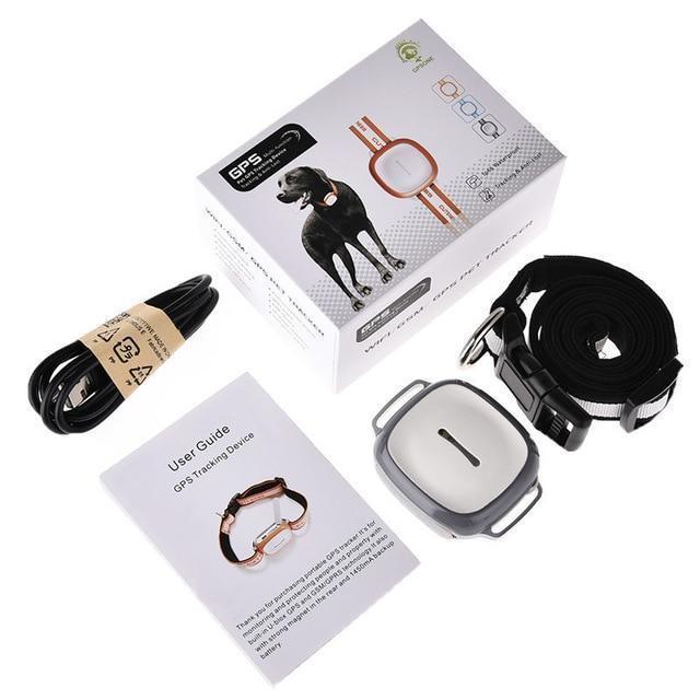 BowLift | GPS Waterproof Pet Tracker