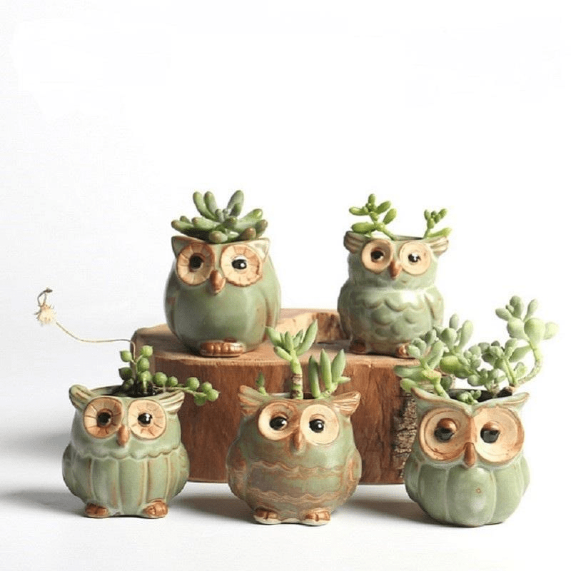 BowLift | Owls Ceramic Flower Pot Set 5-piece