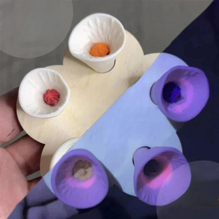 BowLift | Bee Care - PolliCup - Pollinator Friendly - Support Biodiversity