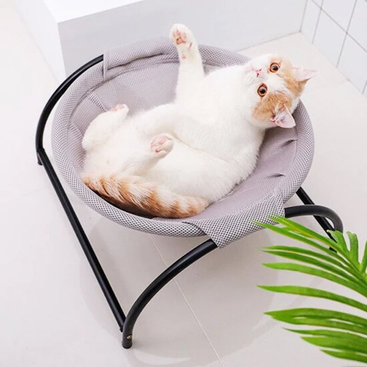 BowLift | Floor Cat Hammock-With Stand
