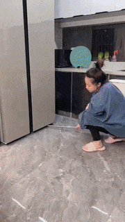 BowLift | Flat Gap Dust Removal Brush