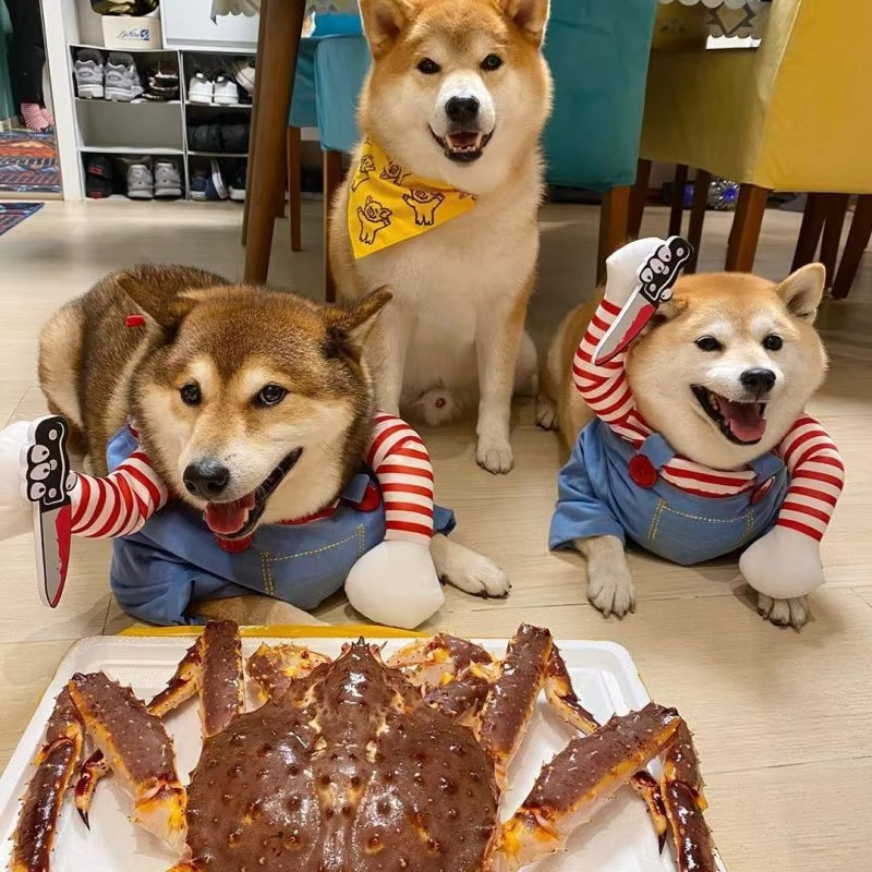 BowLift | Chucky-Inspired Pet Costume for Dogs and Cats