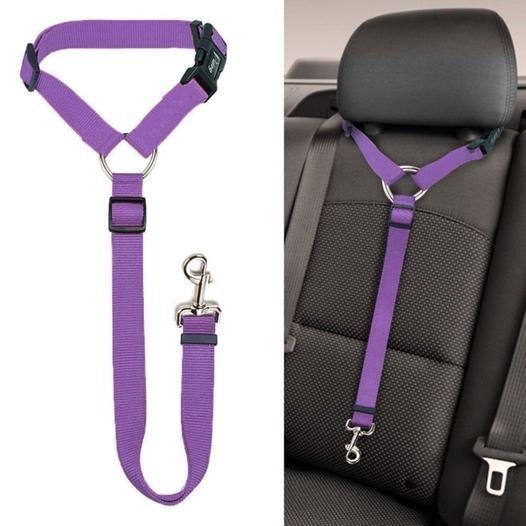 BowLift | Adjustable Car Dog Leash