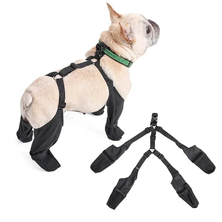 BowLift | Adjustable Dog Boots