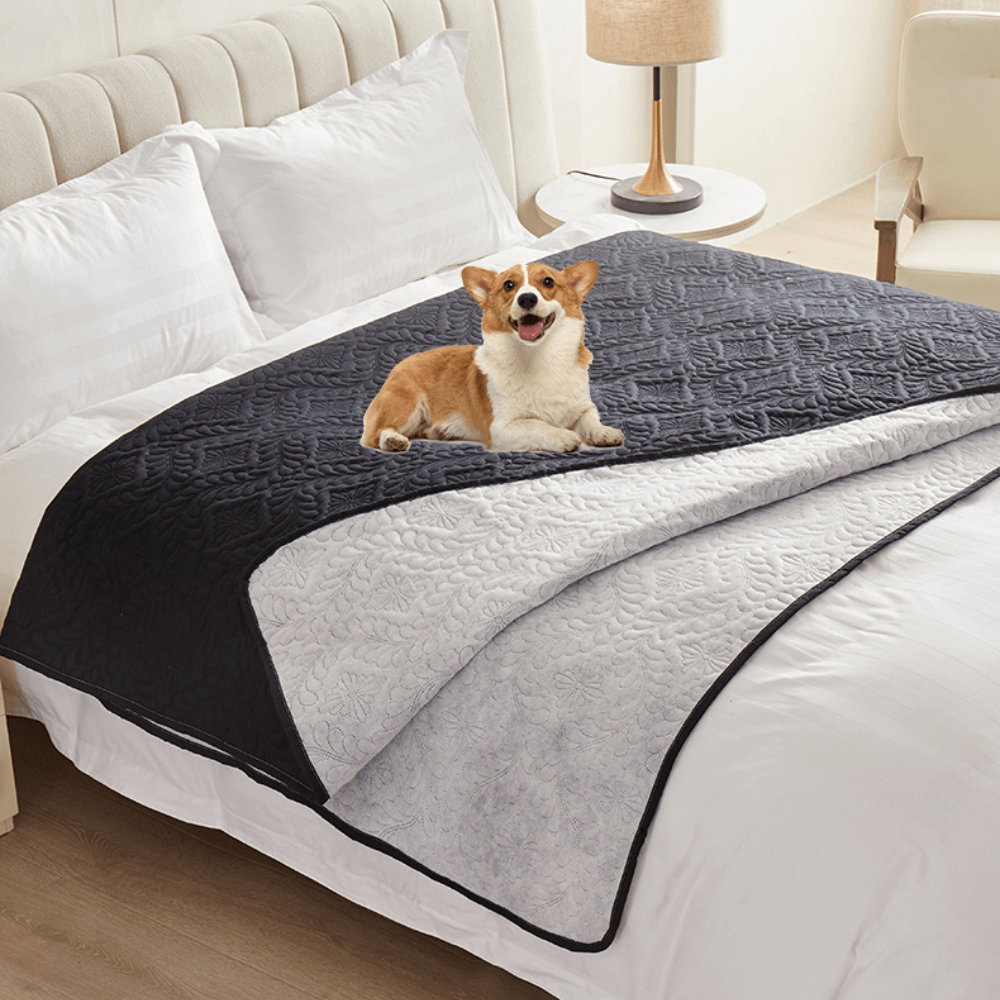 Versatile Moisture-Proof Dog Mat