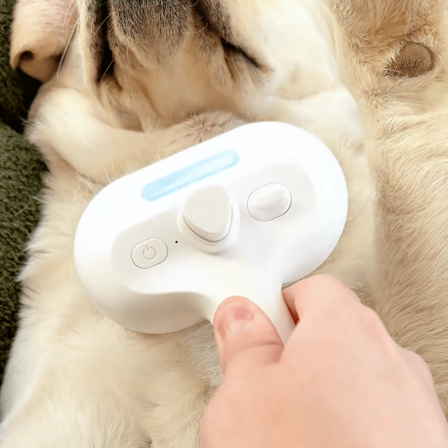 BowLift | DampfVacht Steam Brush – Gentle Care for Every Dog Coat