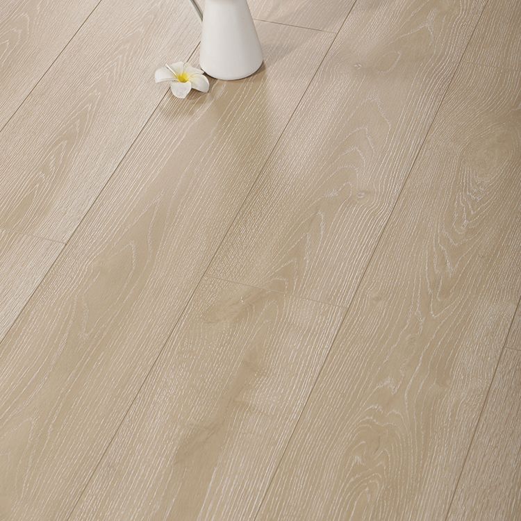 BowLift | Contemporary Laminate Flooring Light Color Wood Laminate Flooring