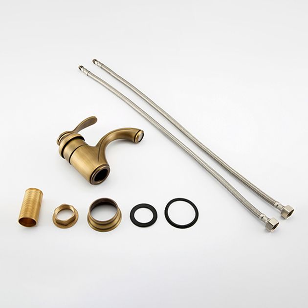 BowLift | Brass Bathroom Vessel Sink Faucet Single Handle Round Basin Faucet with Water Hose