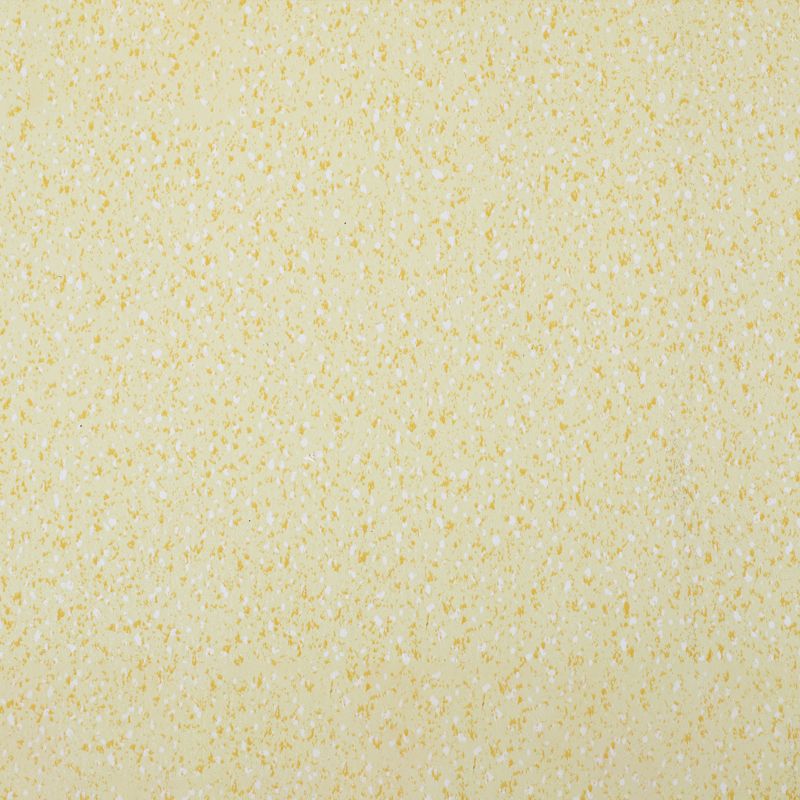 BowLift | Indoor Flooring Peel and Stick Coiled PVC 200cm Waterproof Vinyl Flooring