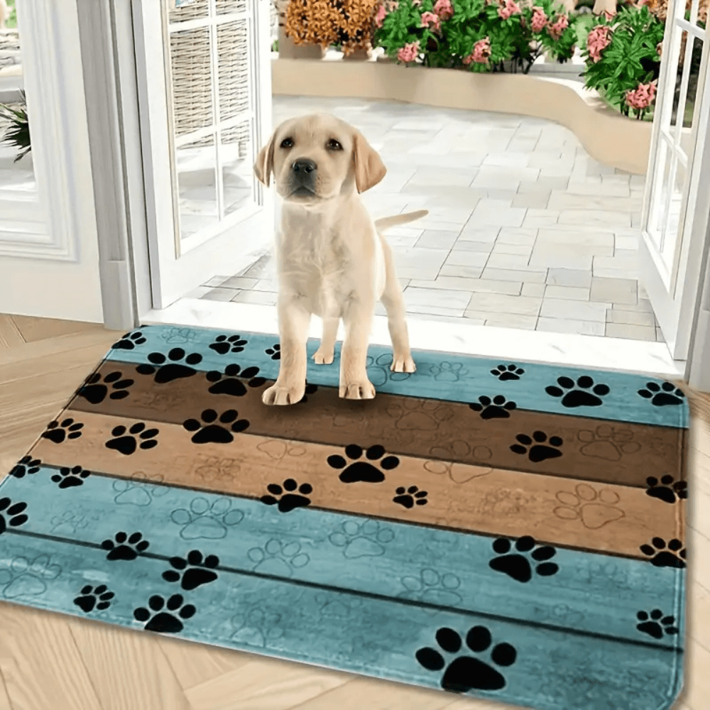 QuickDry Dog Doormat