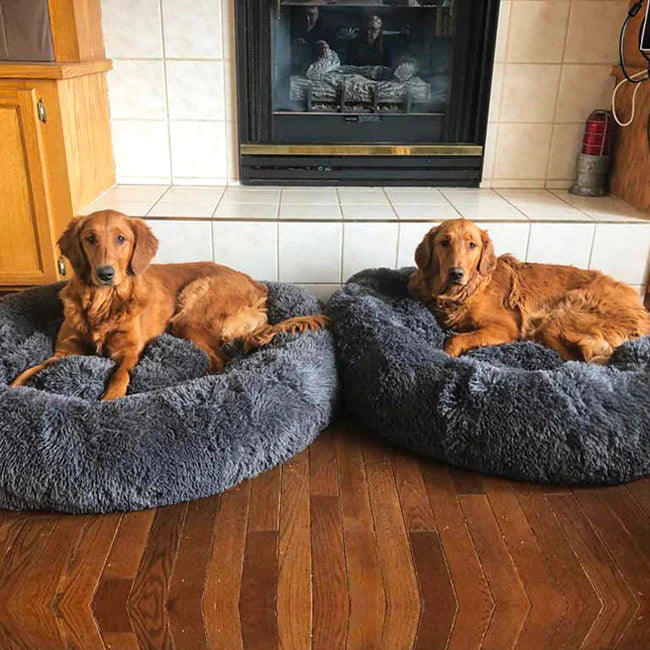 BowLift | Calming Dog Bed