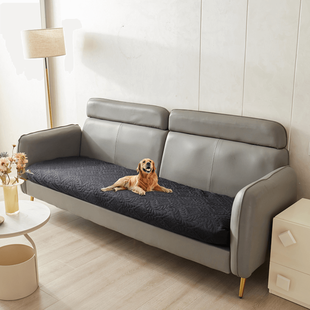 Versatile Moisture-Proof Dog Mat
