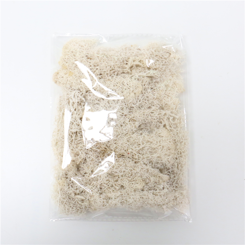 BowLift | Artificial Moss for Landscaping – Moss and Flowers for Decoration and Floristry