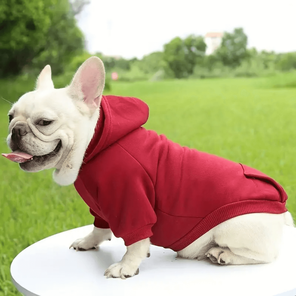 CozyTail Dog Hoodie