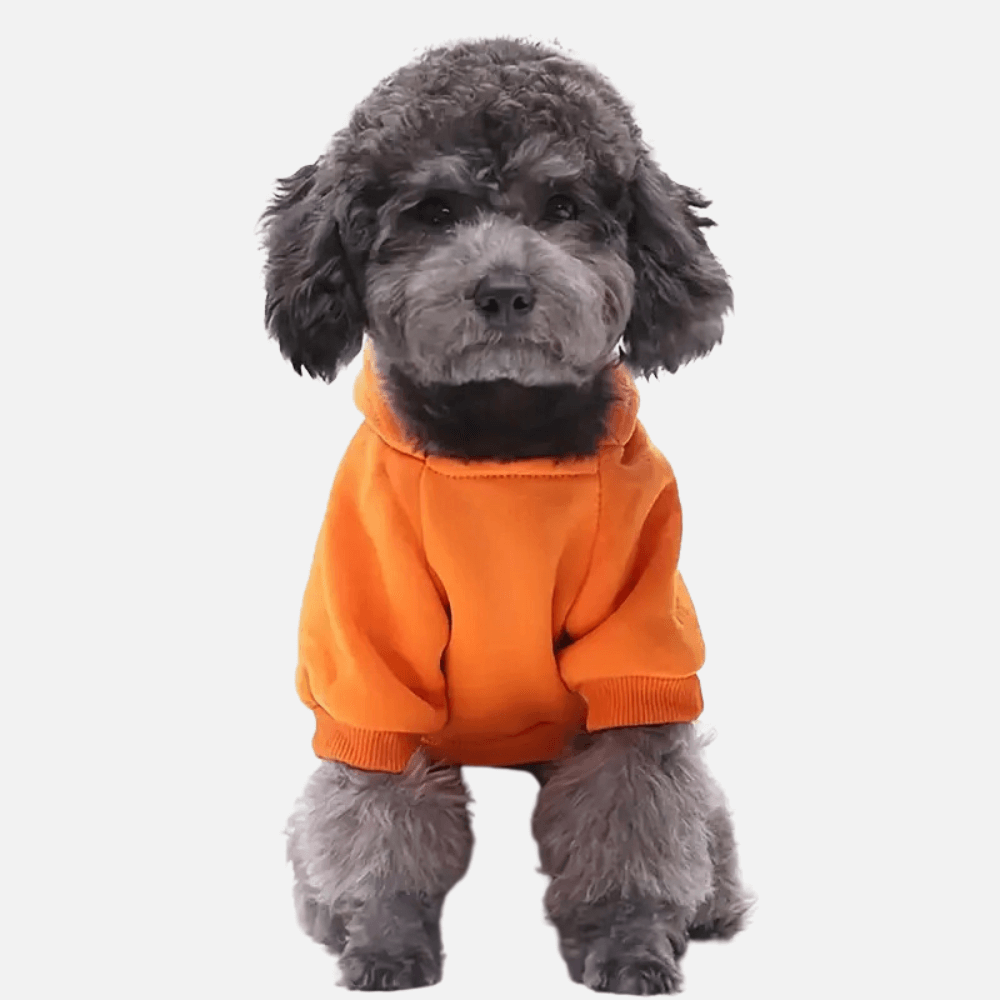 CozyTail Dog Hoodie