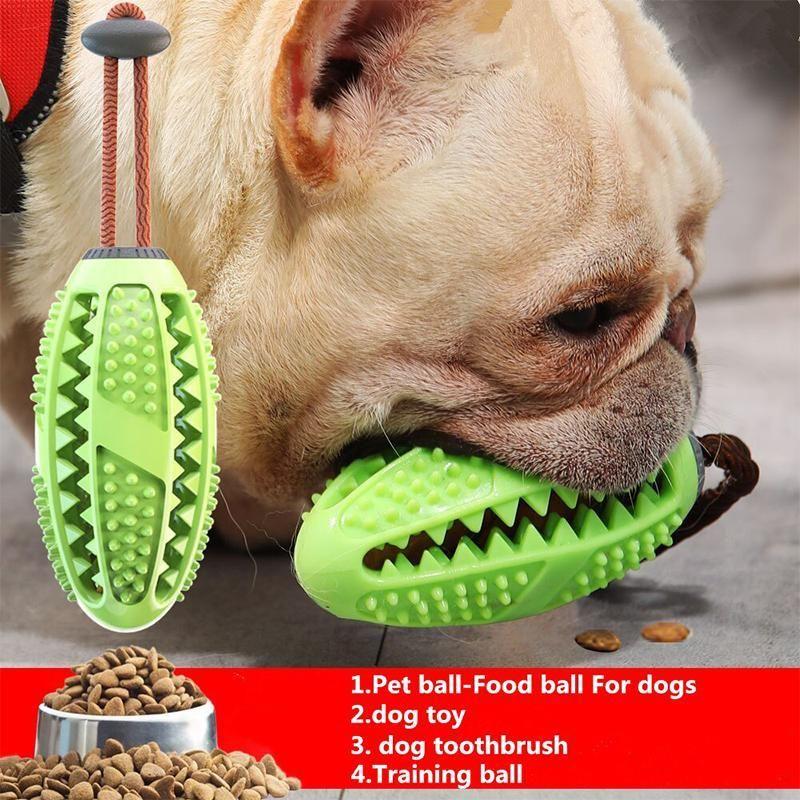 BowLift | Dog Toothbrush Toy