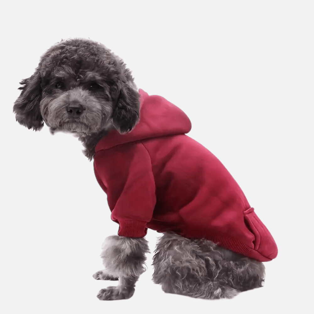 CozyTail Dog Hoodie