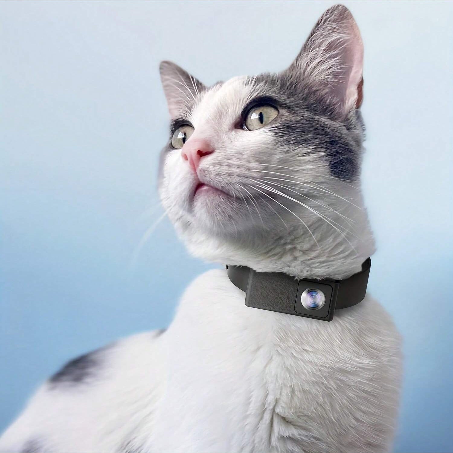 BowLift | Portable 160° Pet Camera for Cats & Dogs with 1080P HD Video – 32GB