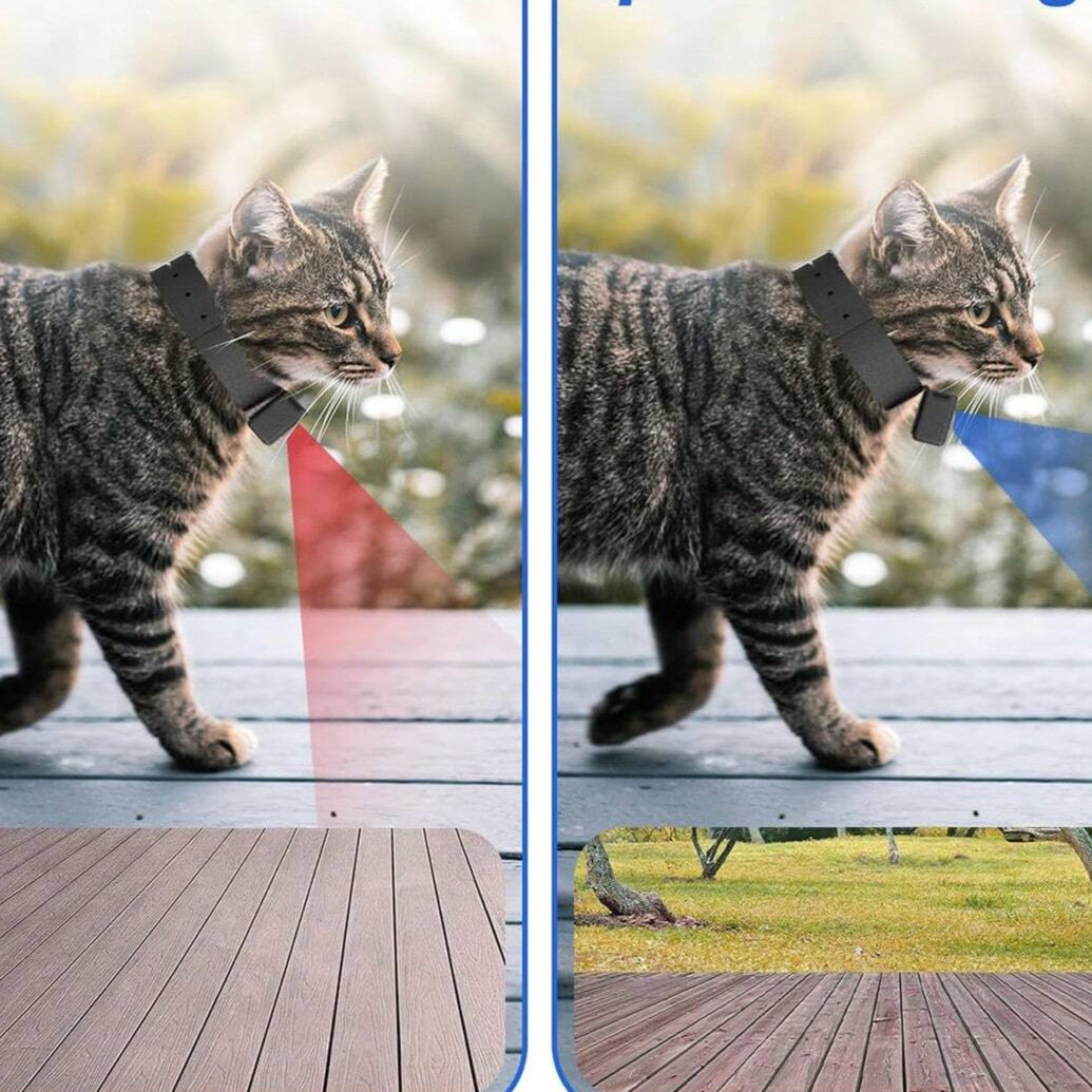 BowLift | Portable 160° Pet Camera for Cats & Dogs with 1080P HD Video – 32GB