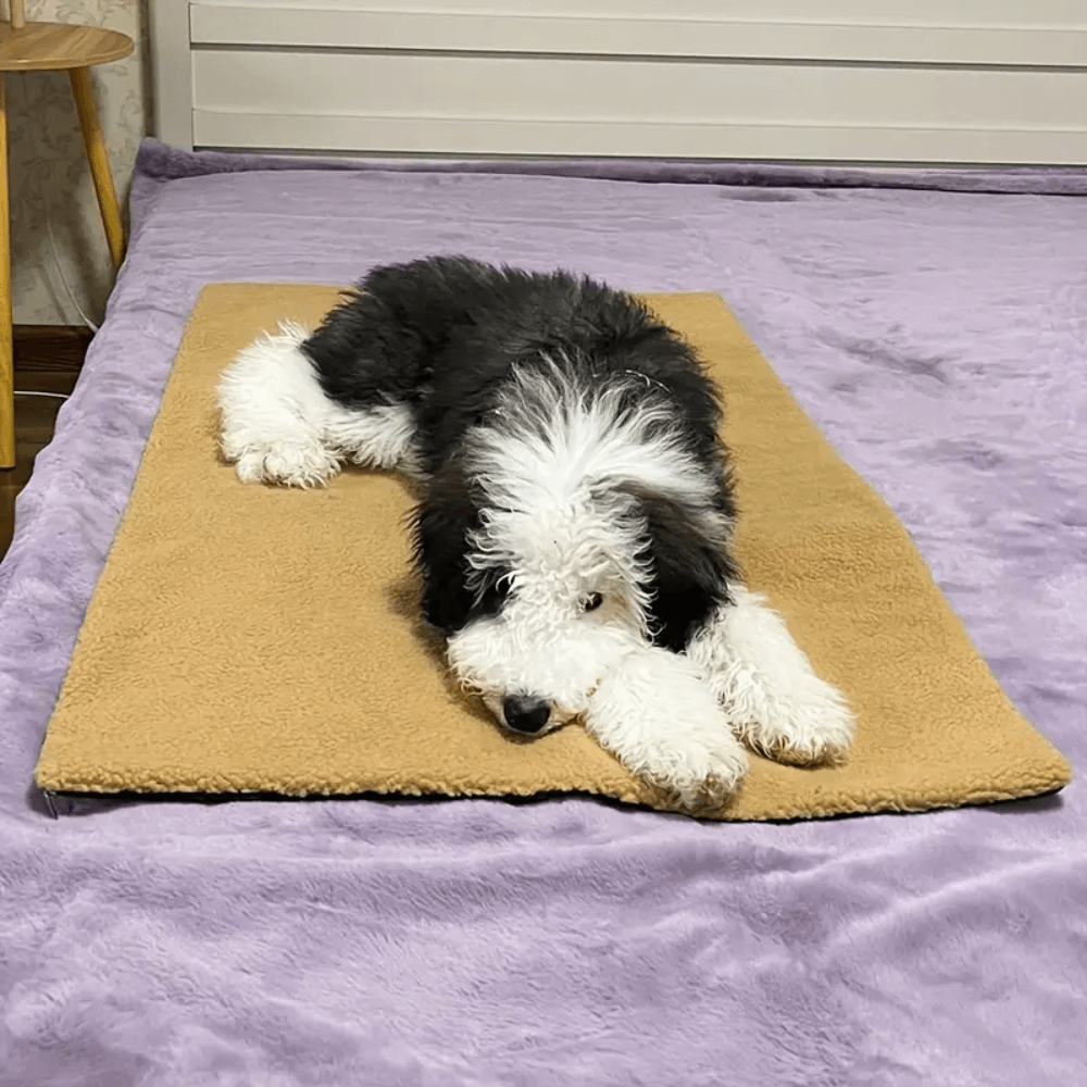 Thermal Cozy Dog Floor Mat
