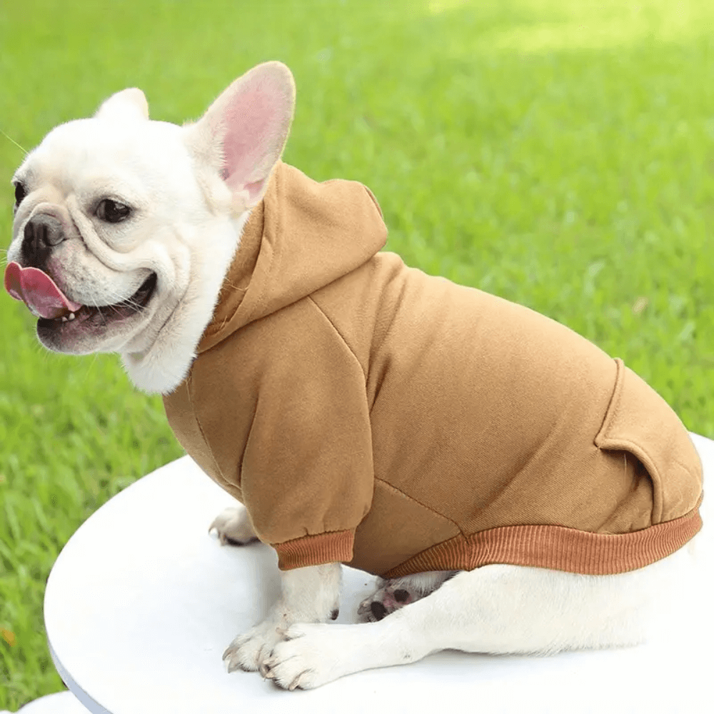 CozyTail Dog Hoodie