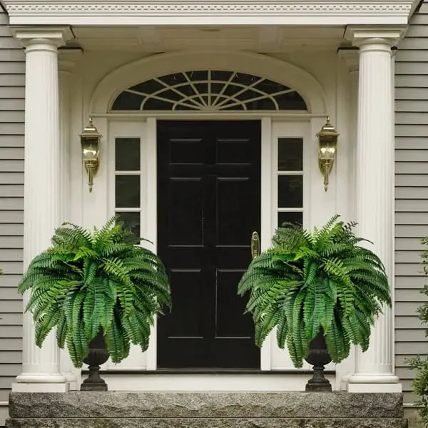 BowLift | Life-like UV-resistant artificial Boston fern