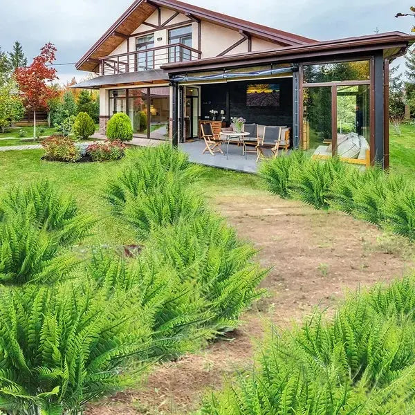 BowLift | Life-like UV-resistant artificial Boston fern