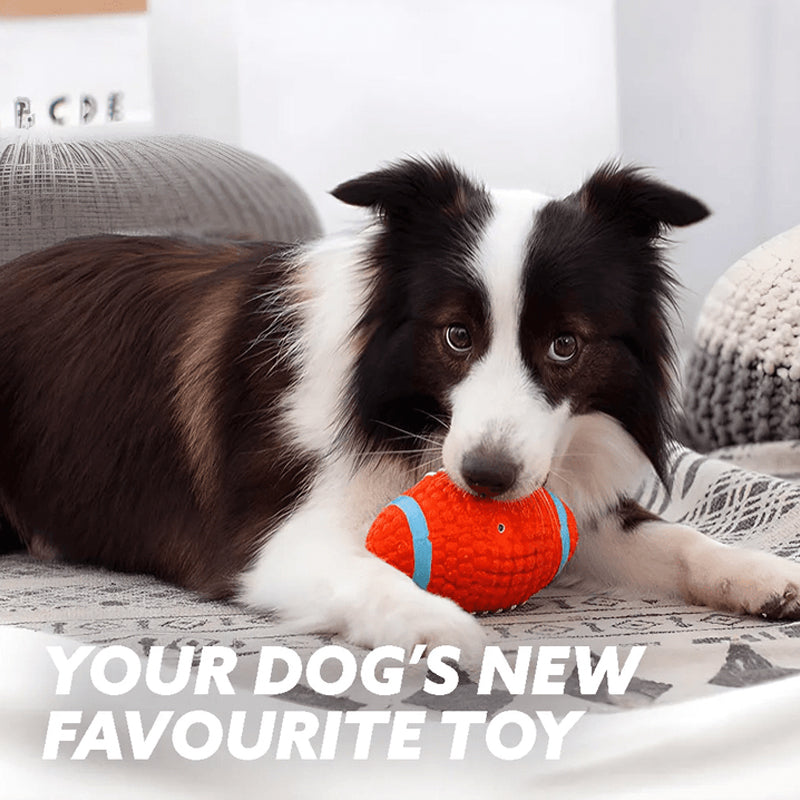 BowLift | Immortal Toy For Aggressive Chewers
