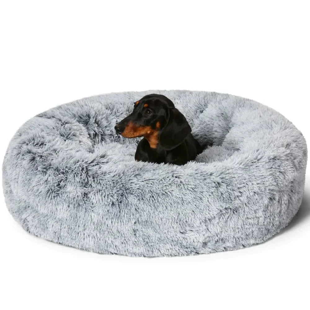 BowLift | Calming Dog Bed