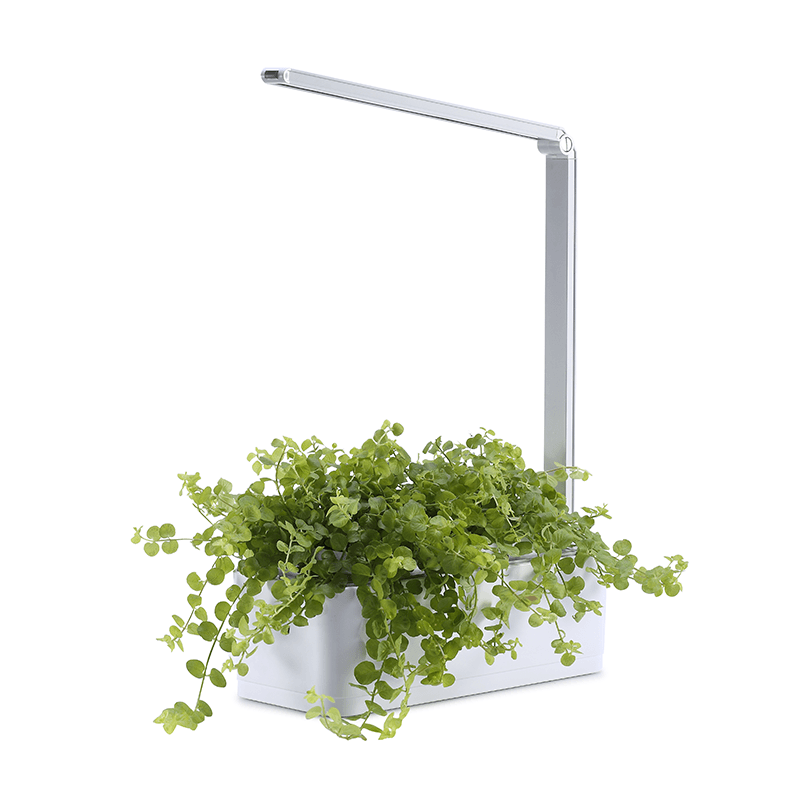 BowLift | Hydroponic Systems with Led Plant Grow Light, Intelligent Watering, Water Shortage Reminder and Timer Switch (with US Standard Plug, 110v~220v)