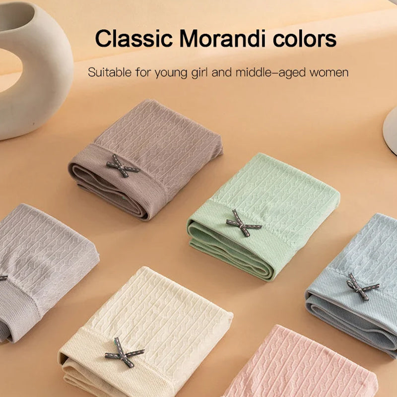 BowLift | Cotton Antibacterial Panties (5 PCs)