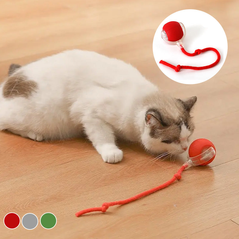BowLift | Indoor Cat interactive ball