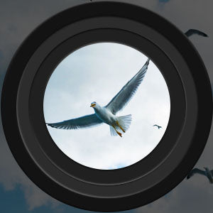 BowLift | Binoculars High Power Night Vision Waterproof