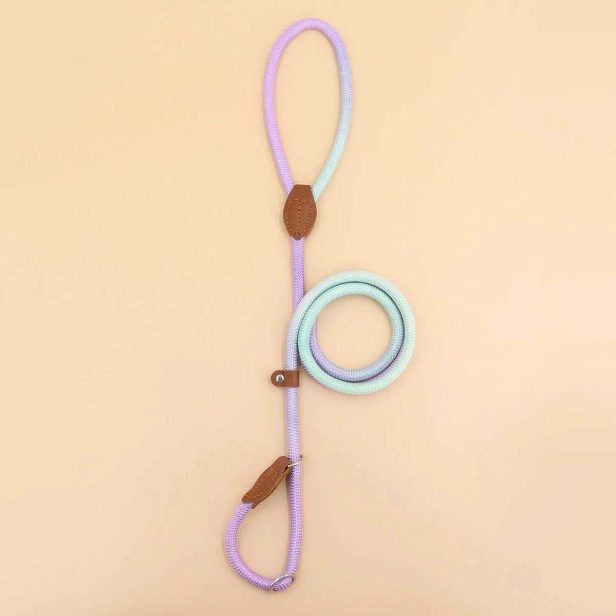 BowLift | Colorful Dog Leash for Stylish Walks