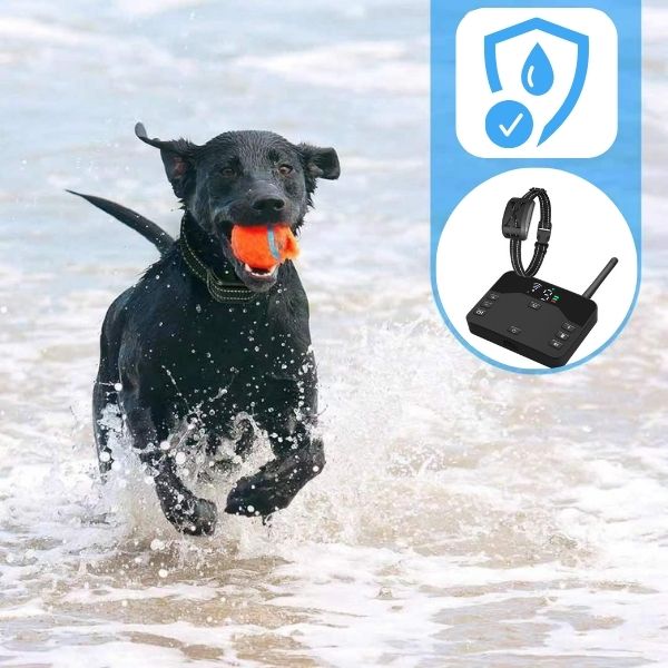BowLift | 2-in-1 Wireless Pet Training Collars and Dog Fence Sound Check Electric and Vibrating Shock Dog Collar Fence From 65 to 1640 Feet