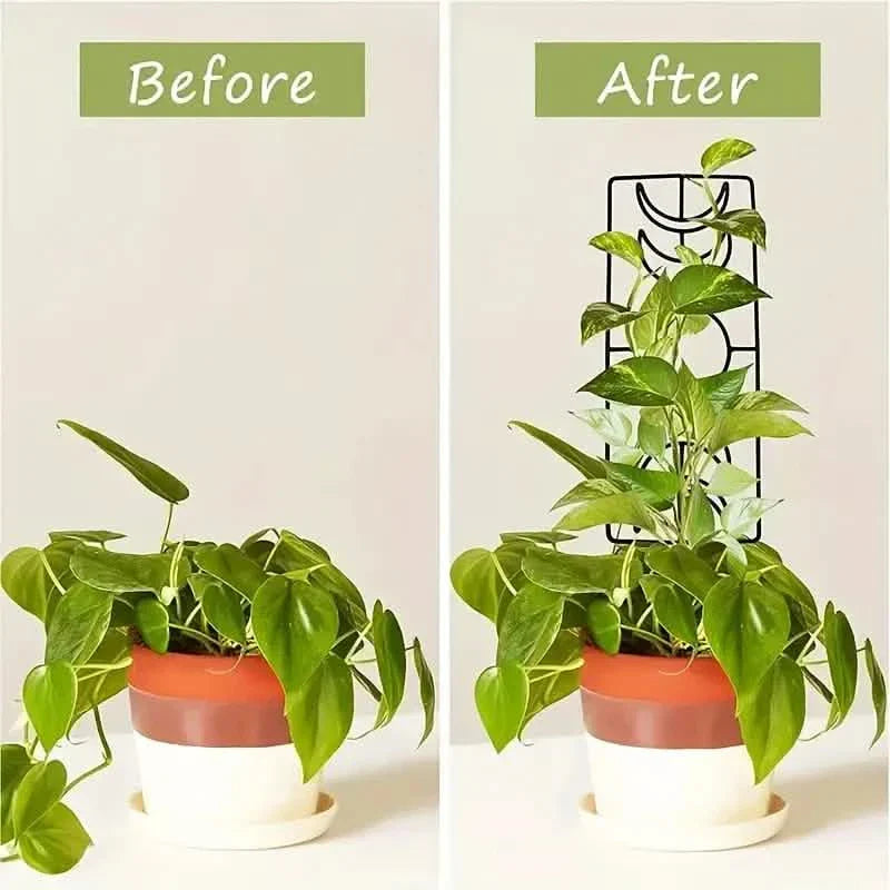 BowLift | 2-Pack: Metal Plant Frame for Climbing Plants Indoor