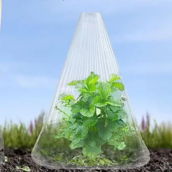 BowLift | 20 pieces plant pRedection caps for seedlings, vegetables & flowers