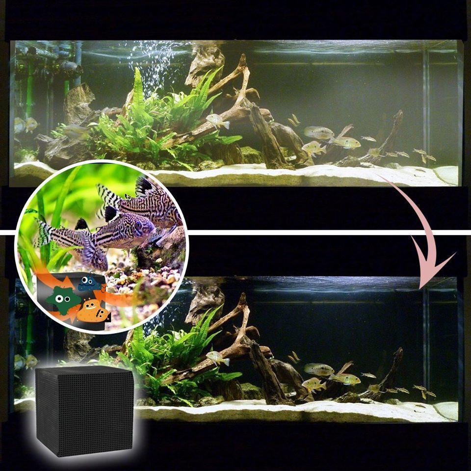 BowLift | Eco-Aquarium Water Cleaner Cube